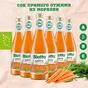 продаем сок морковный 100% прямой отжим. в Москве 2